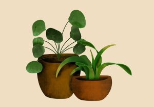 Een groen gigantisch thuis creëren met grote kamerplanten